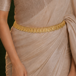 Traditional Simple Lakshmi Kasu Mala Necklace and Vaddanam