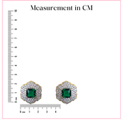 Captivating - Silver Earrings Designs