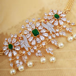 Beauty - South Indian Jewellery Choker Necklace