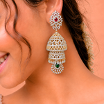 A Luxurious Pair - Long Jhumkas
