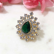 Exuberant Symphony - Sneha Rateria Store