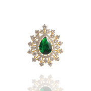 Exuberant Symphony - Sneha Rateria Store