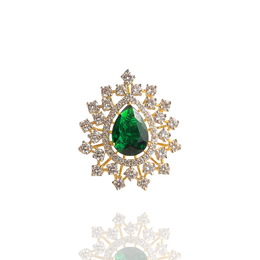 Exuberant Symphony - Sneha Rateria Store