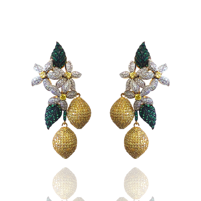 fancy earrings