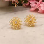 Shine Top Earrings 