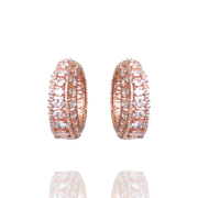 Rose Gold Earrings