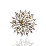 Sunflower Sunshine - Sneha Rateria Store