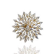 Sunflower Sunshine - Sneha Rateria Store